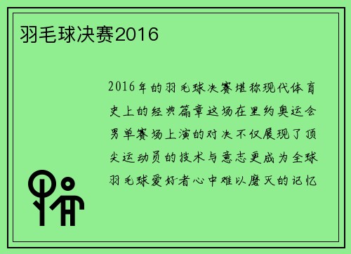 羽毛球决赛2016