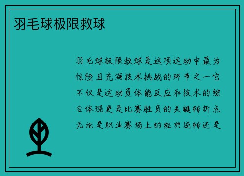 羽毛球极限救球